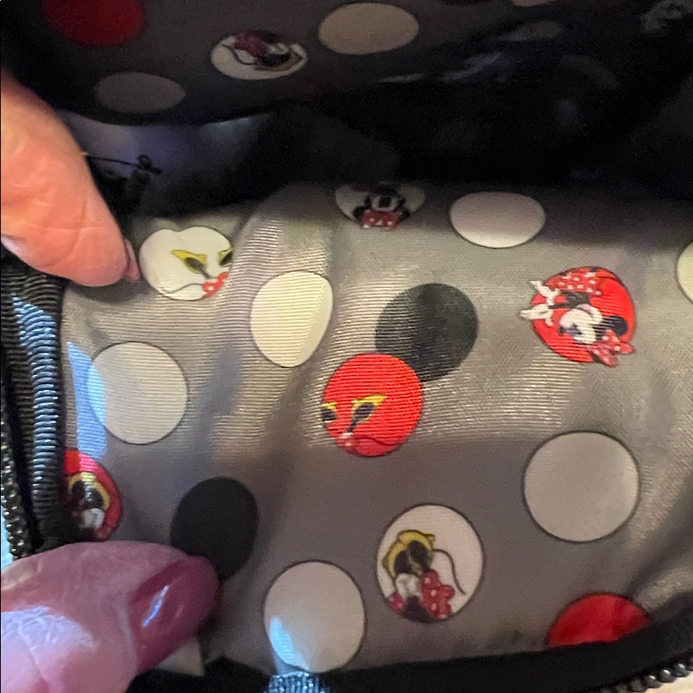 Disney Parks Minnie Mouse Lug Crossbody Bag, NWT, non smoking, pet free home. - Picture 6 of 9